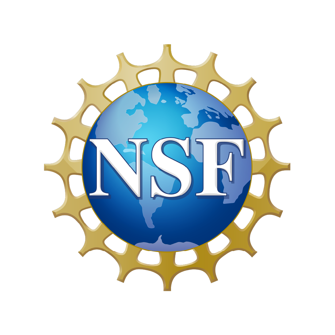 NSF globe icon